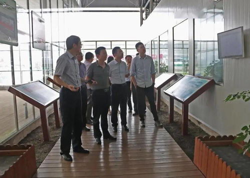 光明食品集团深入调研星辉蔬菜产业发展，助力市场战略优化